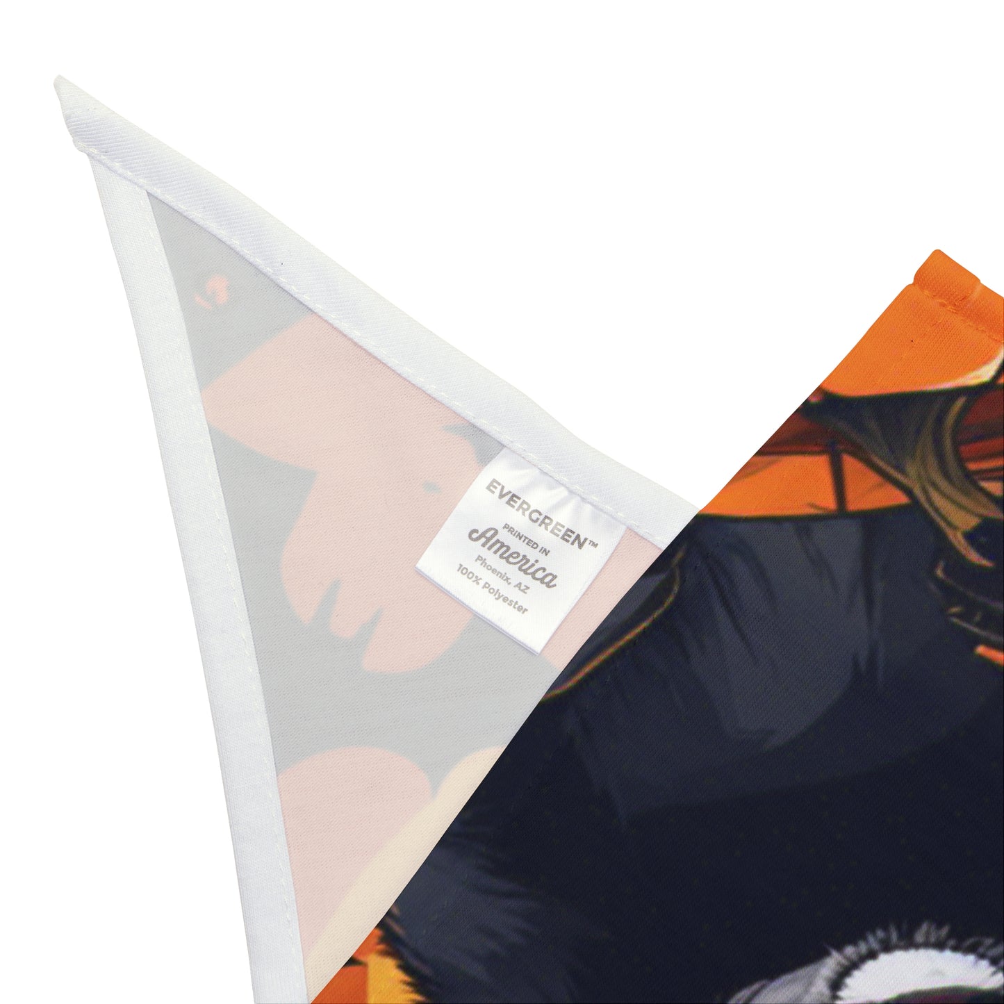 Spooky Season Pet Bandana